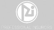 Professional Insurors Business Insurance