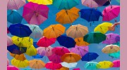 Quality Risk Management