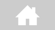 Springer Insurance & Financial Services