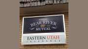 North Eastern Insurance