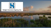 Hodges Insurance