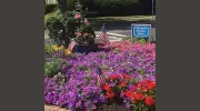 John J Doyle Insurance