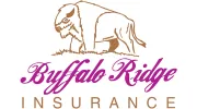 Buffalo Ridge Insurance